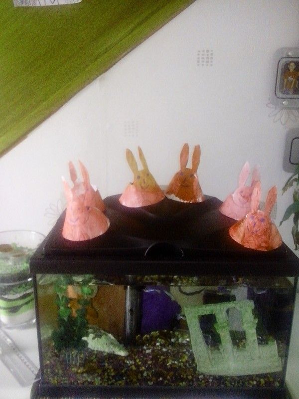 famille lapin