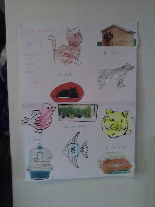 les animaux et leur " dodo"